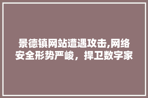 景德镇网站遭遇攻击,网络安全形势严峻，捍卫数字家园刻不容缓