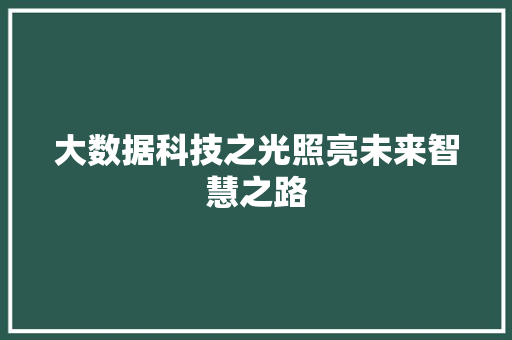 大数据科技之光照亮未来智慧之路 SEO教程