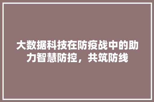 大数据科技在防疫战中的助力智慧防控，共筑防线