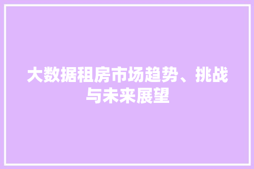 大数据租房市场趋势、挑战与未来展望