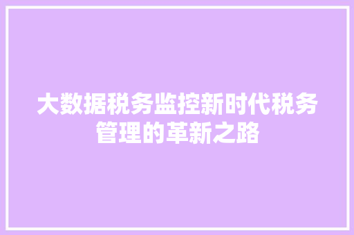 大数据税务监控新时代税务管理的革新之路