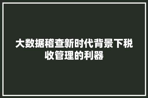 大数据稽查新时代背景下税收管理的利器