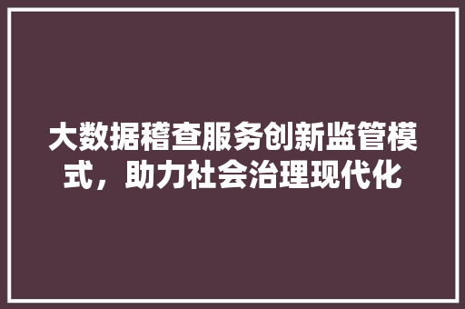 大数据稽查服务创新监管模式，助力社会治理现代化