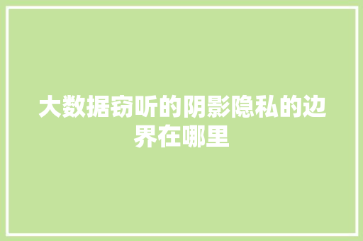大数据窃听的阴影隐私的边界在哪里