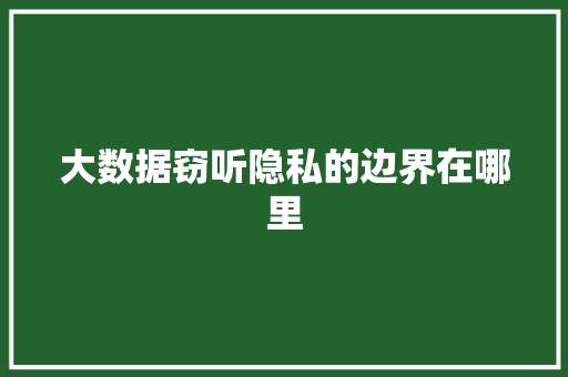 大数据窃听隐私的边界在哪里