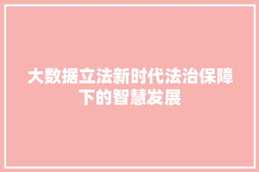 大数据立法新时代法治保障下的智慧发展