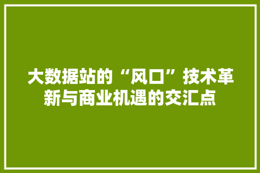 大数据站的“风口”技术革新与商业机遇的交汇点