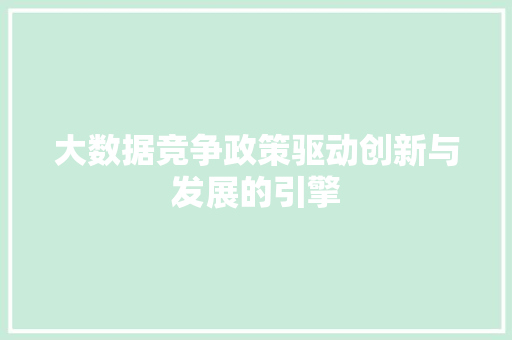 大数据竞争政策驱动创新与发展的引擎
