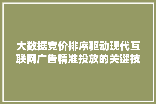 大数据竞价排序驱动现代互联网广告精准投放的关键技术