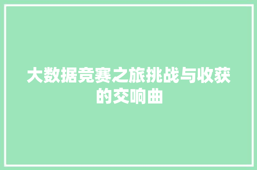 大数据竞赛之旅挑战与收获的交响曲