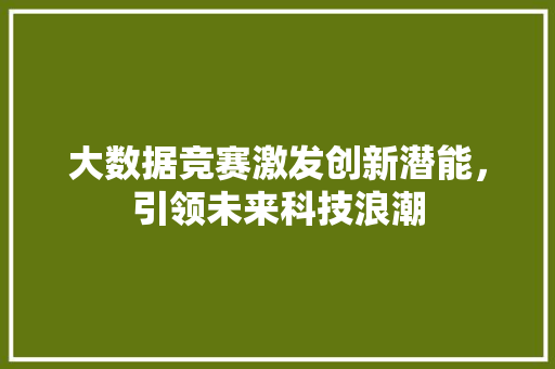 大数据竞赛激发创新潜能，引领未来科技浪潮