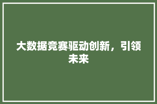大数据竞赛驱动创新，引领未来