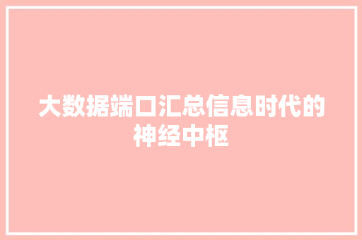 大数据端口汇总信息时代的神经中枢