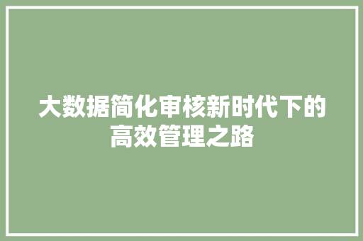 大数据简化审核新时代下的高效管理之路
