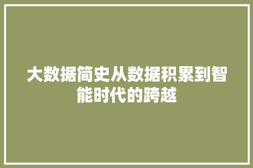 大数据简史从数据积累到智能时代的跨越