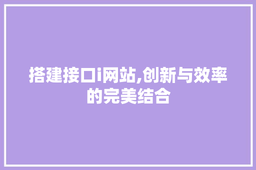 搭建接口i网站,创新与效率的完美结合