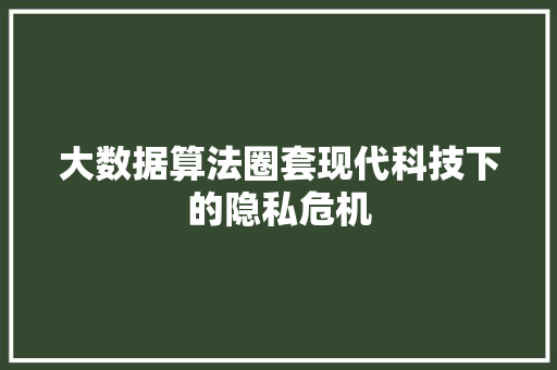 大数据算法圈套现代科技下的隐私危机