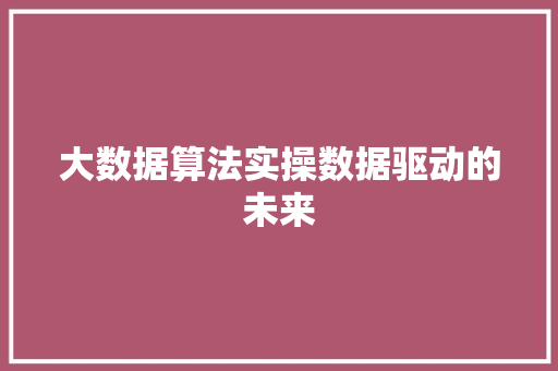 大数据算法实操数据驱动的未来