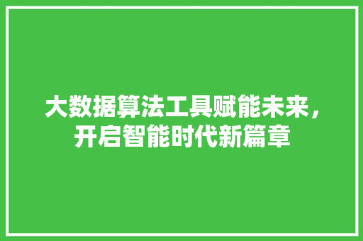 大数据算法工具赋能未来，开启智能时代新篇章 SEO教程