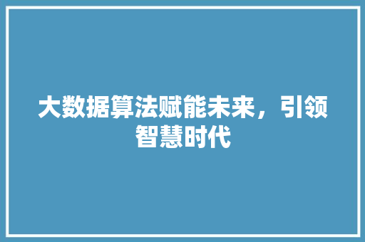 大数据算法赋能未来，引领智慧时代