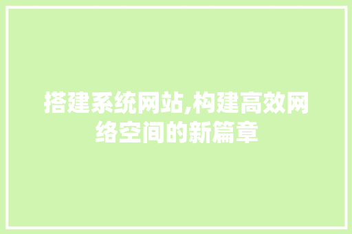 搭建系统网站,构建高效网络空间的新篇章