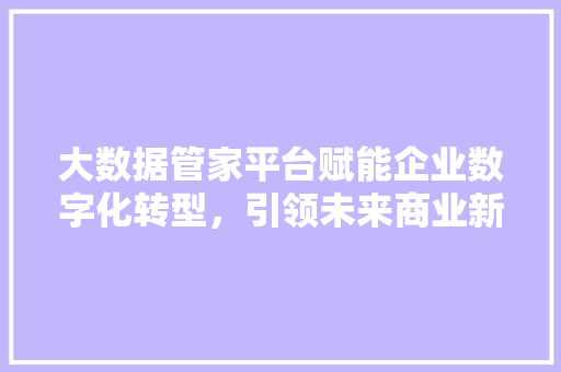 大数据管家平台赋能企业数字化转型，引领未来商业新格局