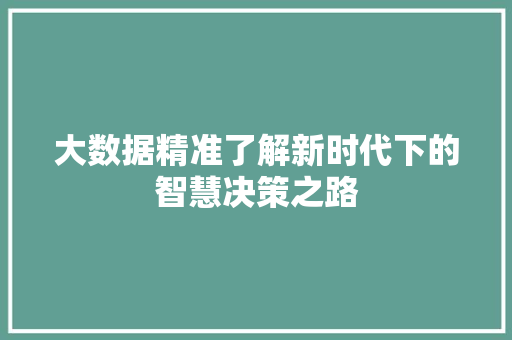 大数据精准了解新时代下的智慧决策之路 建站教程
