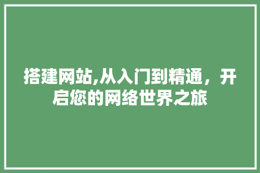 搭建网站,从入门到精通，开启您的网络世界之旅