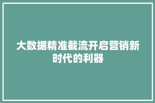 大数据精准截流开启营销新时代的利器
