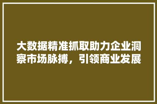 大数据精准抓取助力企业洞察市场脉搏，引领商业发展新趋势