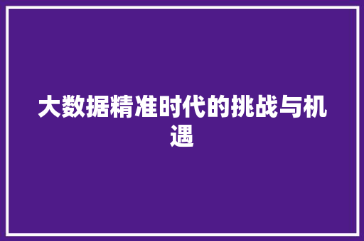 大数据精准时代的挑战与机遇