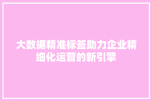 大数据精准标签助力企业精细化运营的新引擎