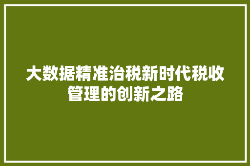 大数据精准治税新时代税收管理的创新之路