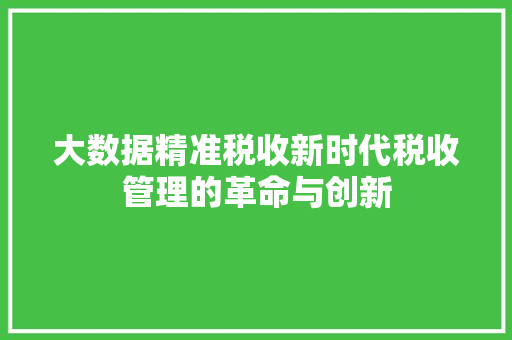 大数据精准税收新时代税收管理的革命与创新