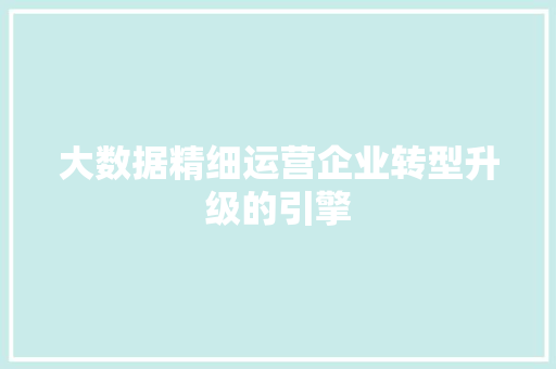 大数据精细运营企业转型升级的引擎