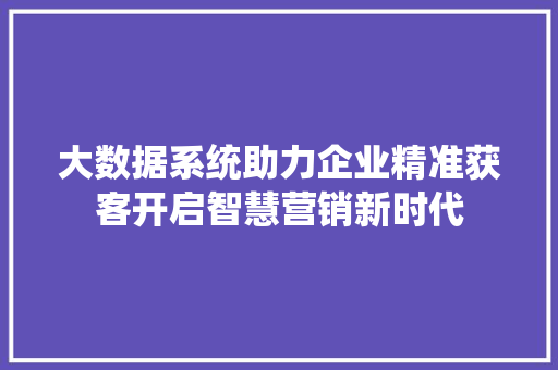 大数据系统助力企业精准获客开启智慧营销新时代