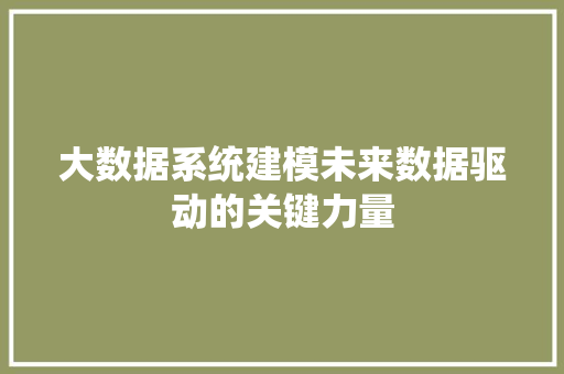 大数据系统建模未来数据驱动的关键力量