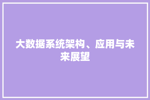 大数据系统架构、应用与未来展望