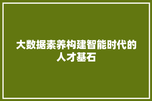 大数据素养构建智能时代的人才基石