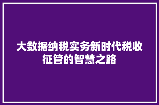 大数据纳税实务新时代税收征管的智慧之路