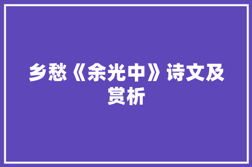 摄影师设计网站,数字时代的艺术展示窗口