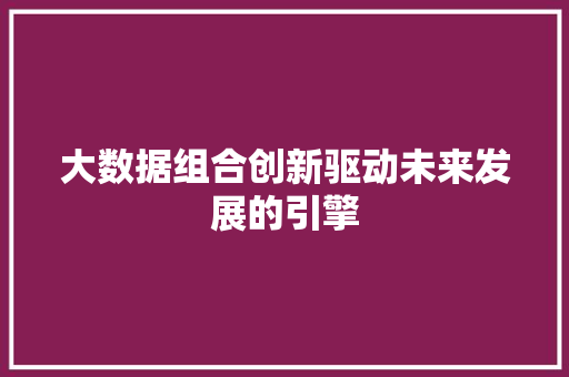 大数据组合创新驱动未来发展的引擎