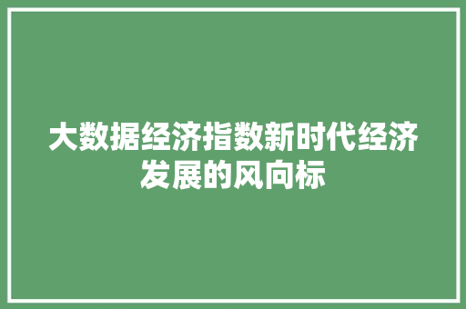大数据经济指数新时代经济发展的风向标