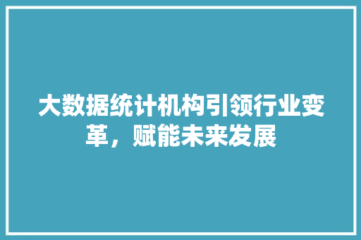 大数据统计机构引领行业变革，赋能未来发展