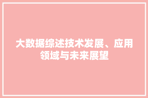 大数据综述技术发展、应用领域与未来展望