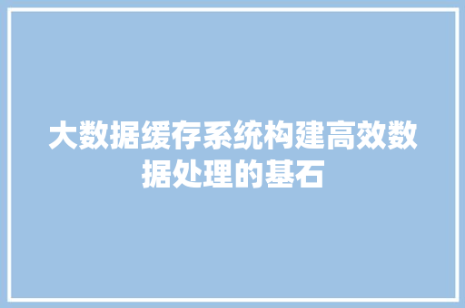 大数据缓存系统构建高效数据处理的基石