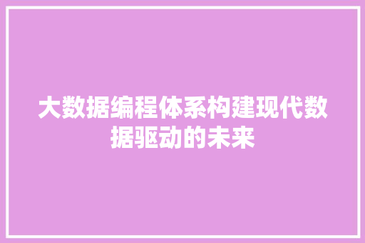 大数据编程体系构建现代数据驱动的未来
