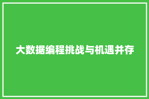 大数据编程挑战与机遇并存