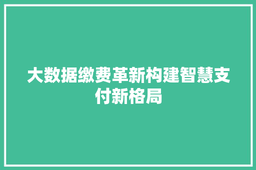 大数据缴费革新构建智慧支付新格局