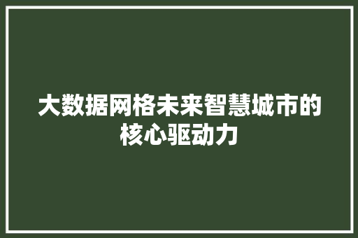 大数据网格未来智慧城市的核心驱动力